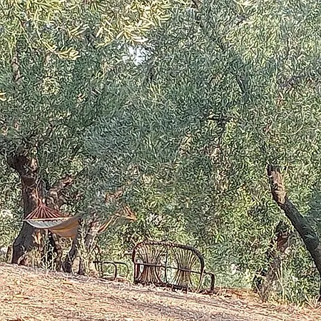 Agricampeggio Wishne * Bisceglie