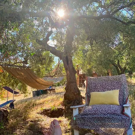럭셔리텐트 Wishne Glamping In Tende 비쉘리에